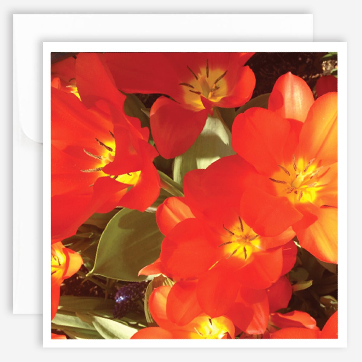 Note Card - Flowers - Jao Brand