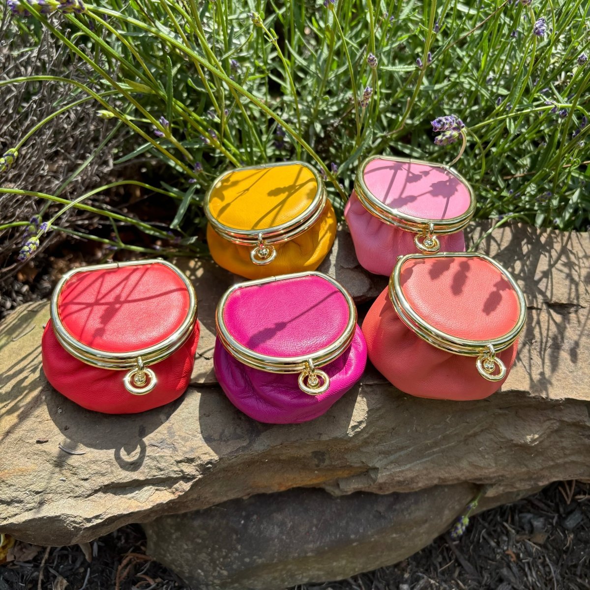 Accessories - Jao Brand