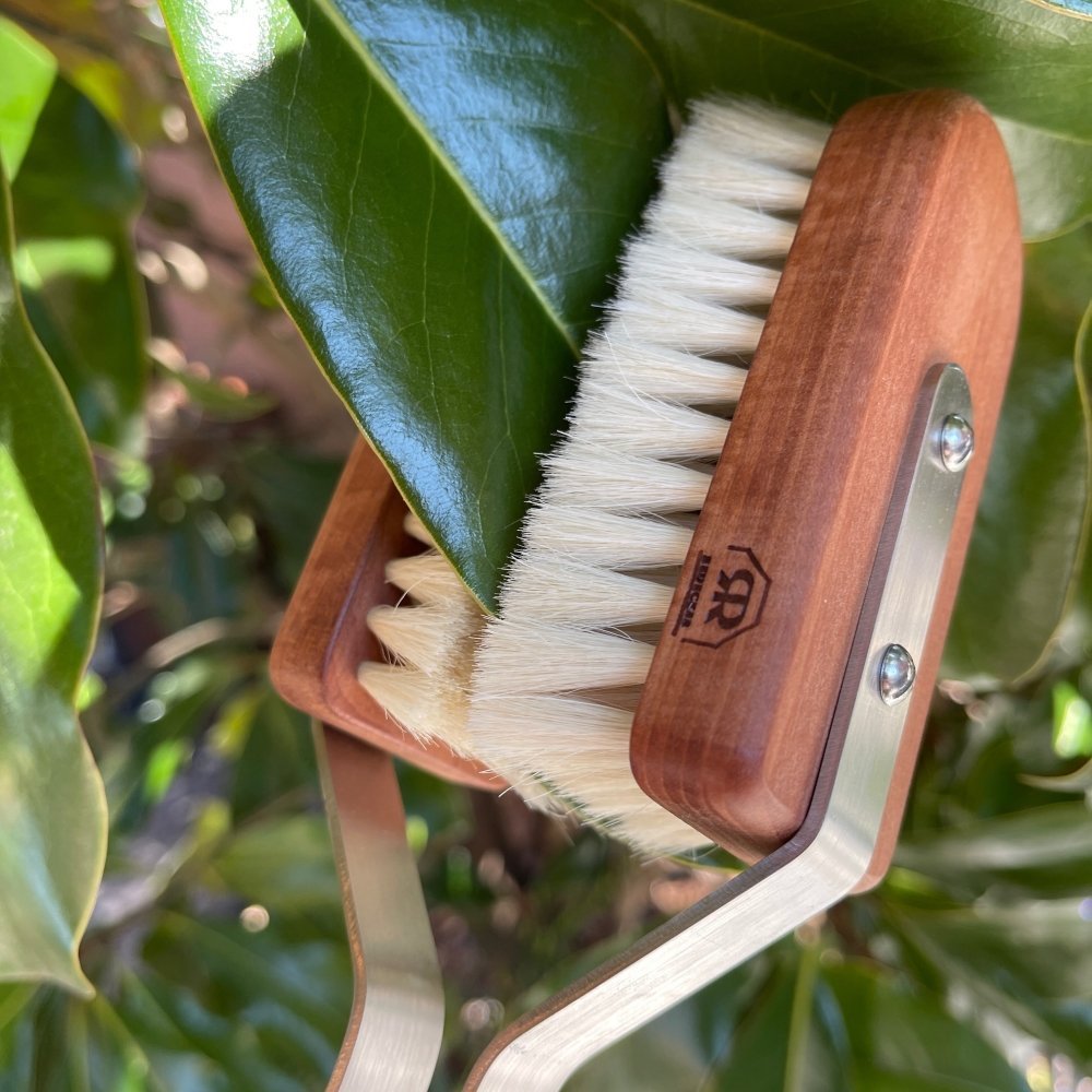 Houseplant Brush - Jao Brand