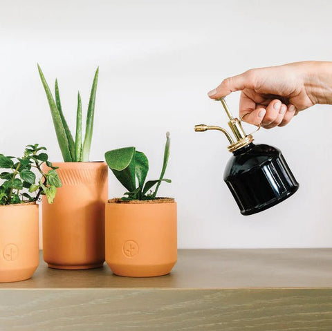 Plant Mister
