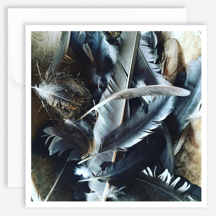 Note Card - Feathers - Jao Brand